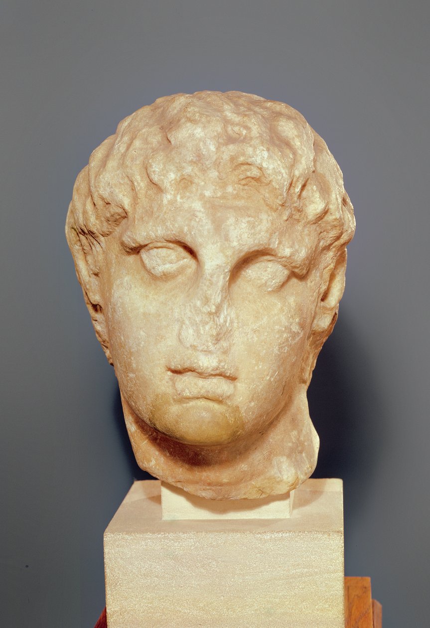 Tête de l