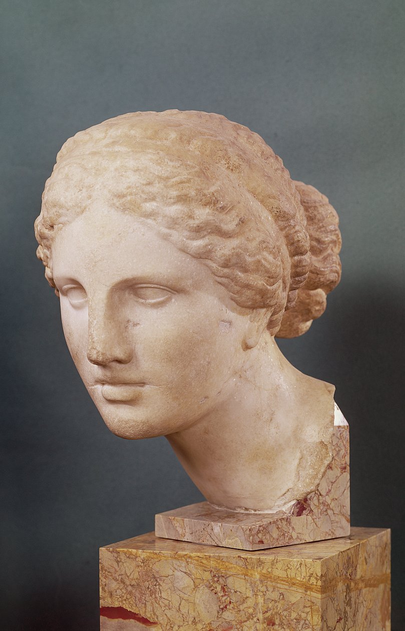 La tête de Kauffmann, tête d