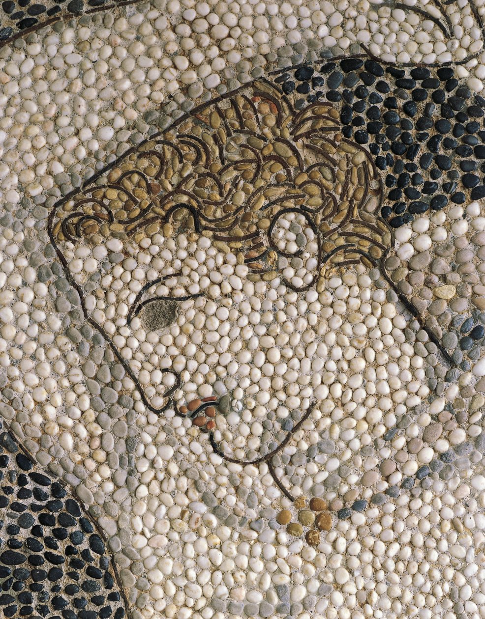 Tête de Krateros (détail) - Greek School