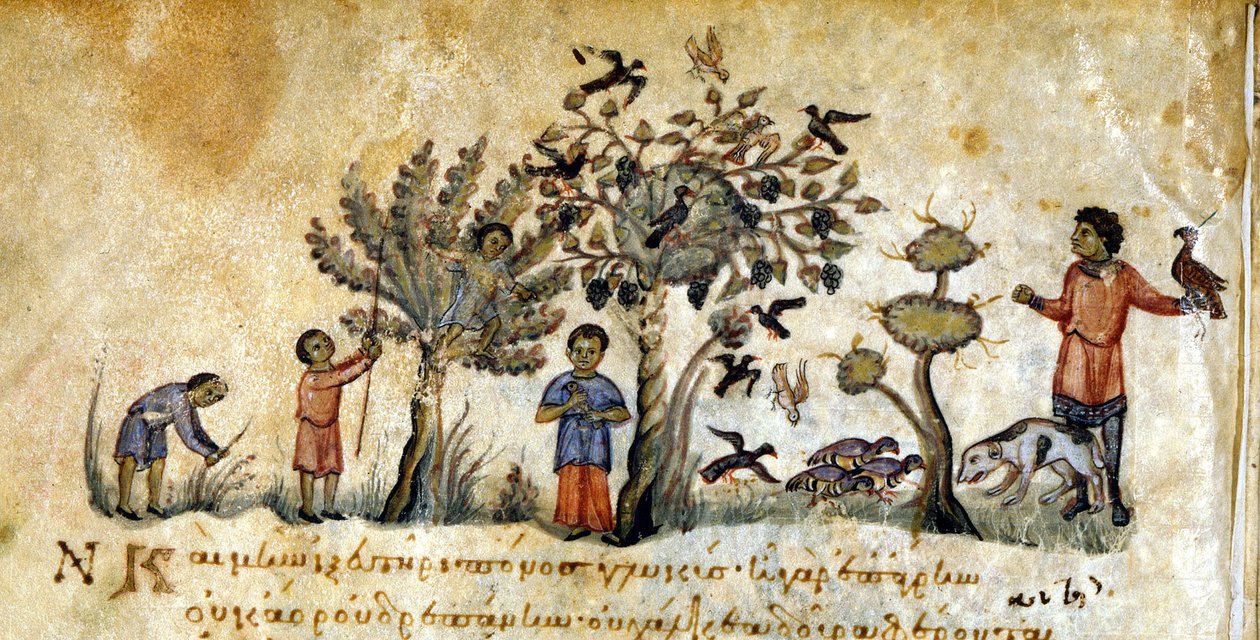 Chasse au faucon pour capturer des oiseaux - dans « De Venatione » par Oppianus, manuscrit grec du XIIIe siècle. Biblioteca Marciana. Venise - Greek School