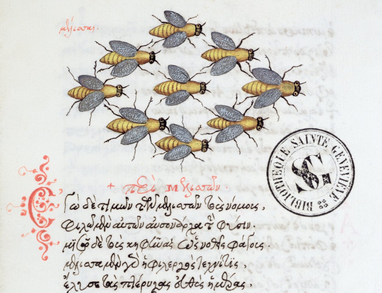 Ms 3402 Abeilles, d