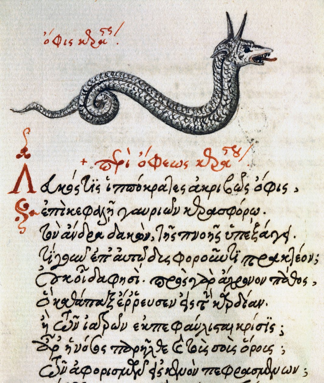 Traité sur le Basilic, texte et miniature de De animalium natura et proprietate libellus, par Aelianus - Greek School