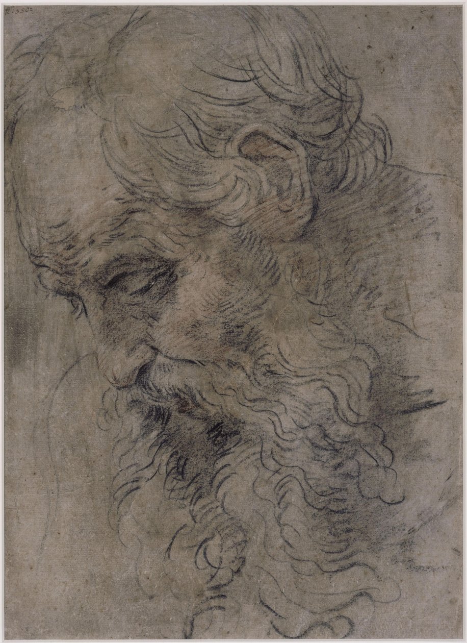Tête de saint Paul ermite - Guido Reni