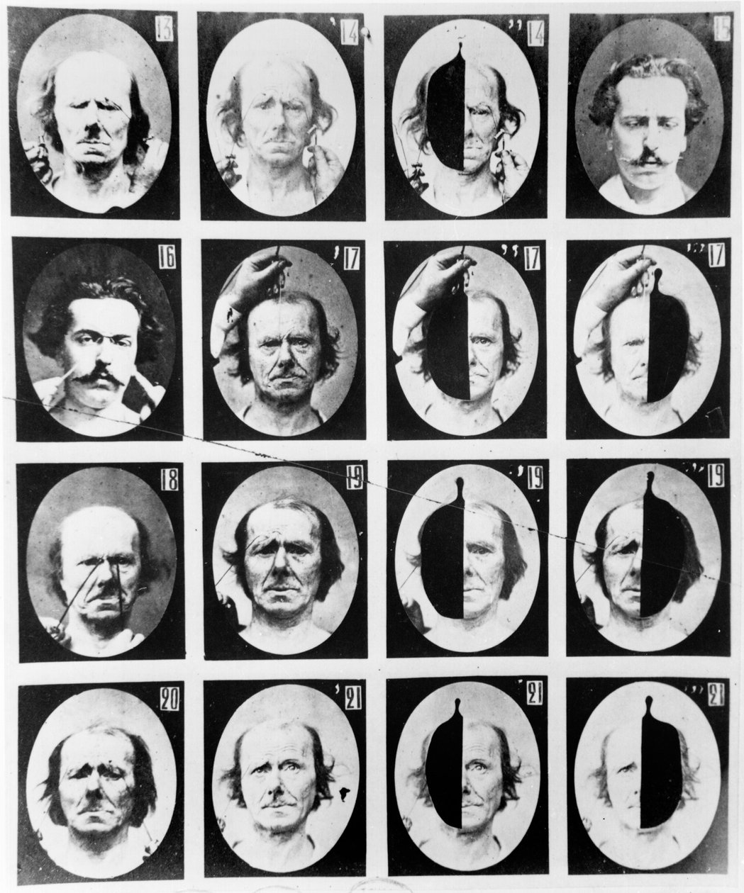 Études physiognomoniques, de 