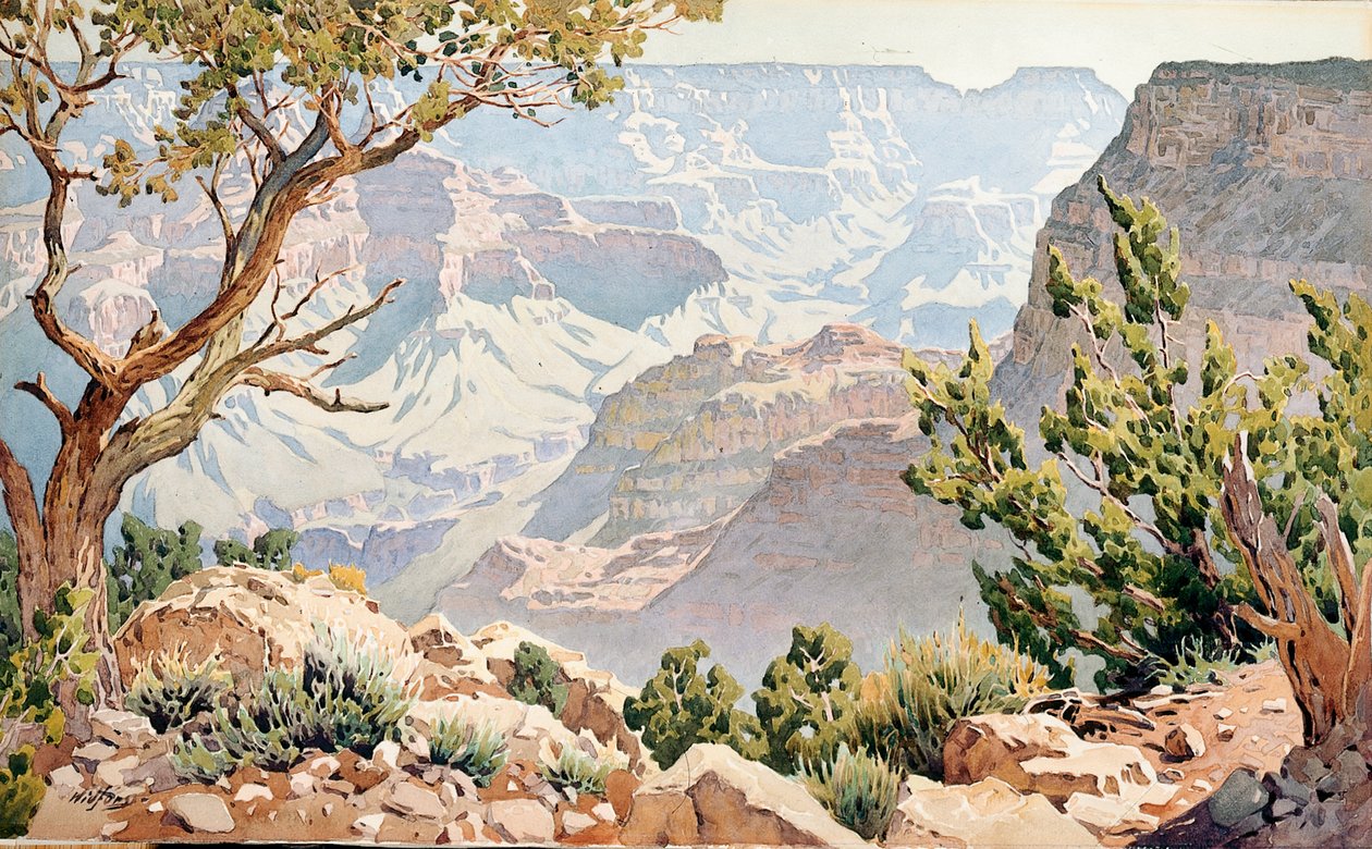 Grand Canyon - Gunnar Widforss