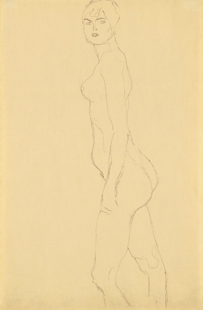 Nu tourné vers la gauche - Gustav Klimt