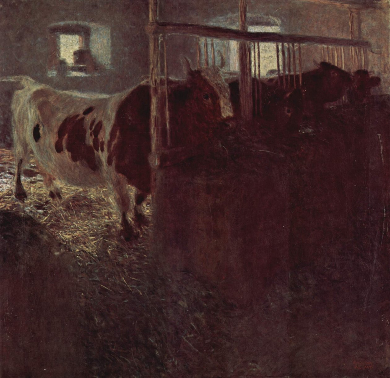 Vaches dans l
