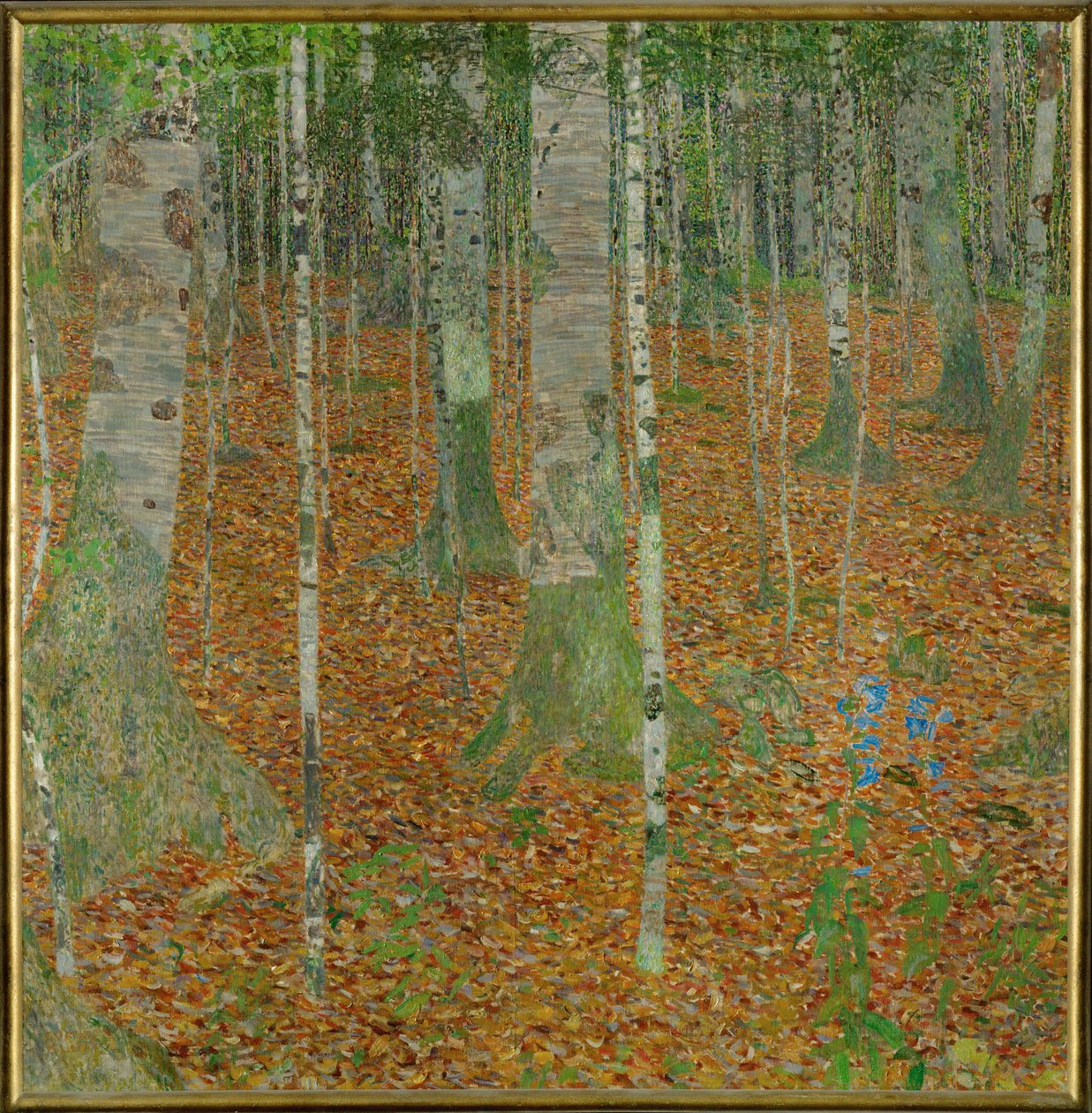Bois de hêtre (Birch Woods) - Gustav Klimt