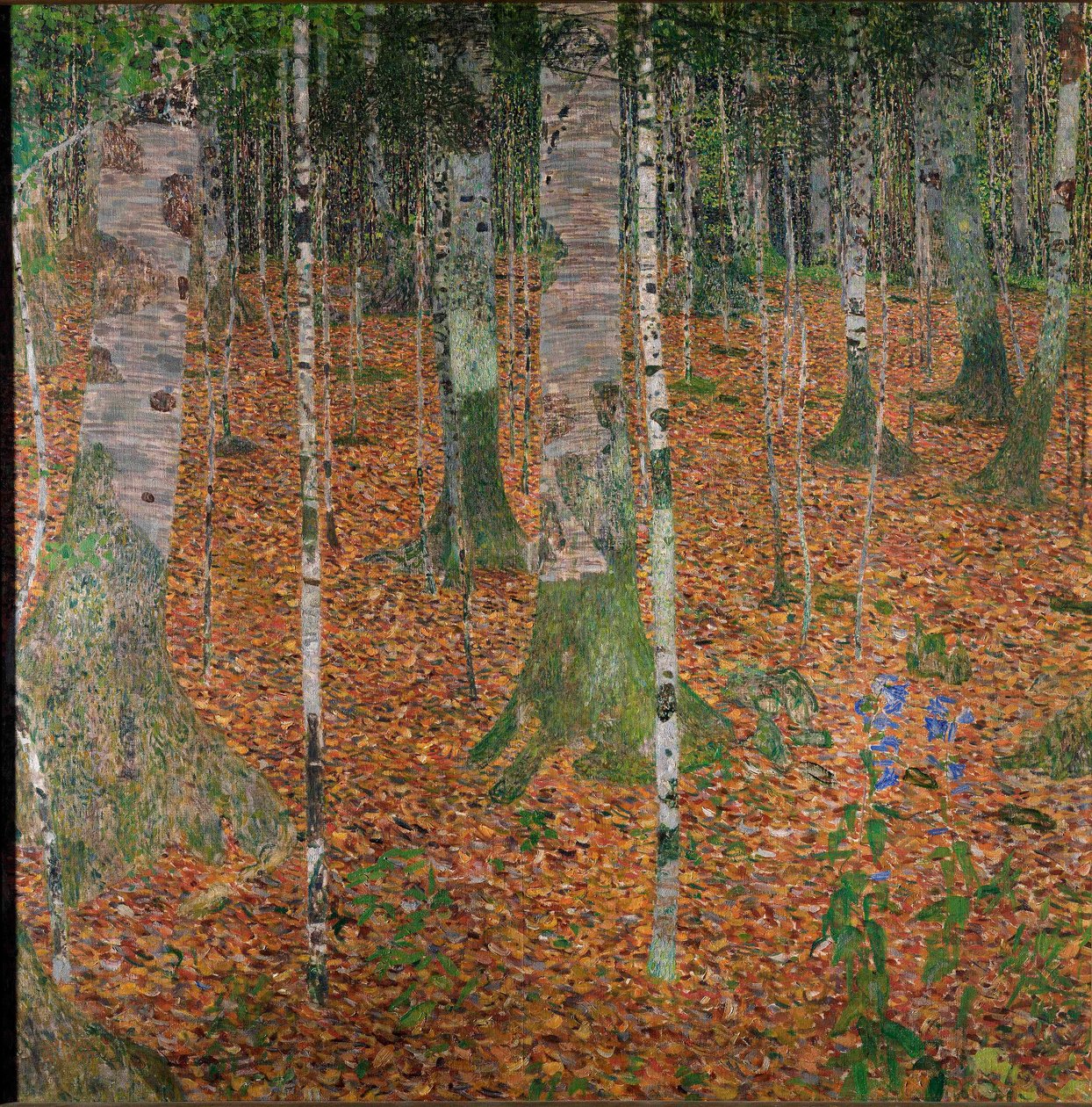 Forêt de bouleaux - Gustav Klimt