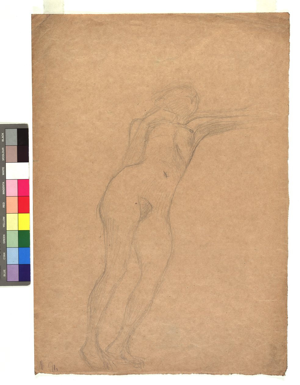 Weiblicher Akt in Untersicht - Gustav Klimt