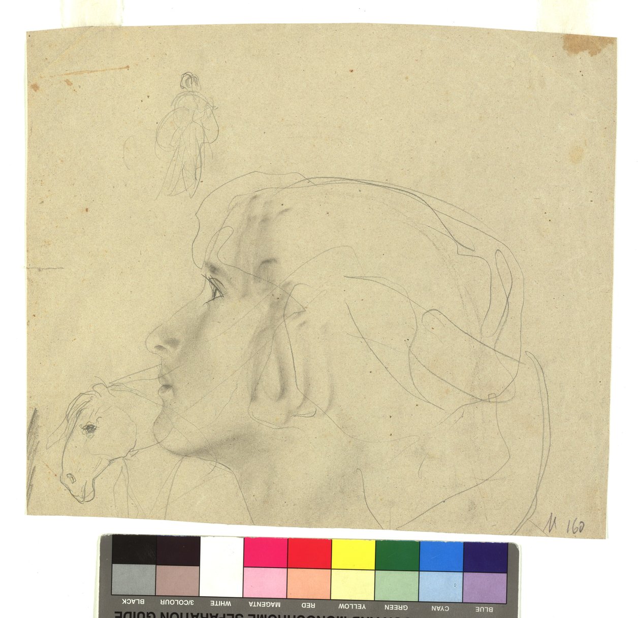 Weiblicher Kopf im Profil nach links, Pferdekopf im Profil, Figurenstudie - Gustav Klimt