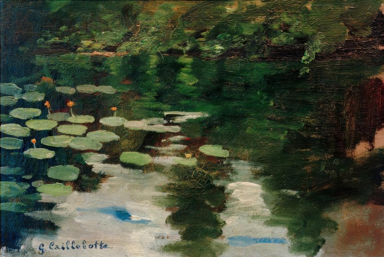Nymphéas sur l