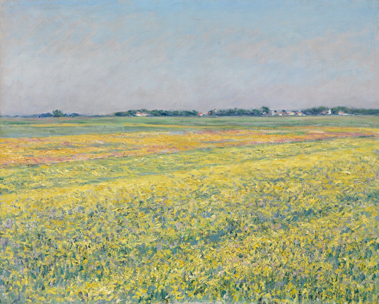 La plaine de Gennevilliers, champs jaunes - Gustave Caillebotte
