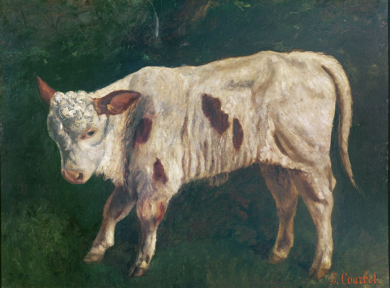 Un veau - Gustave Courbet
