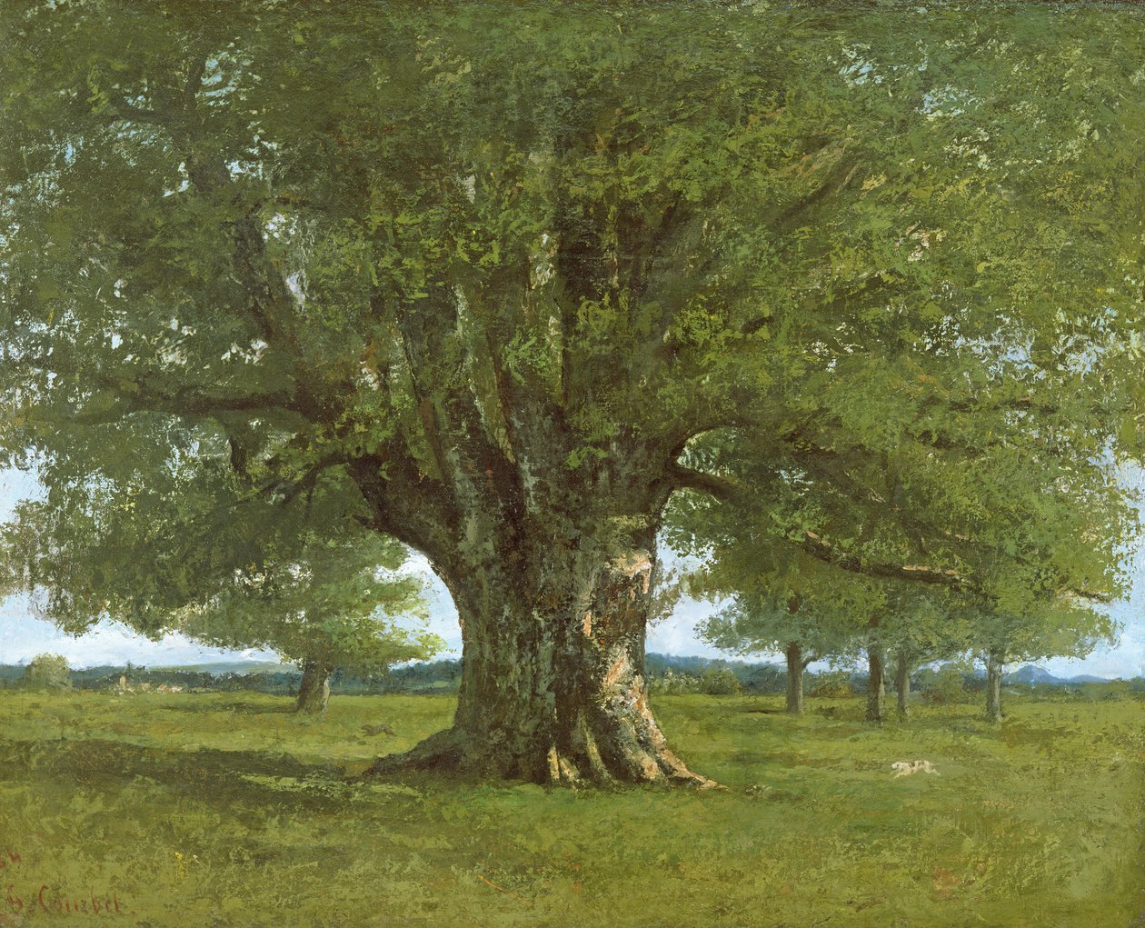 Le Chêne de Flagey, 1864 - Gustave Courbet