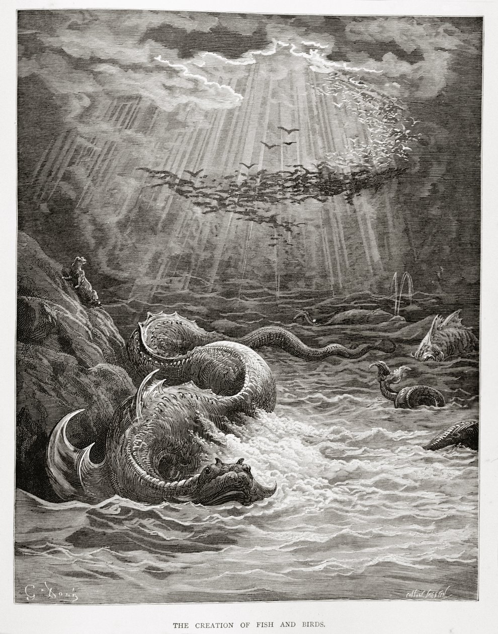 La création des poissons et des oiseaux, de 