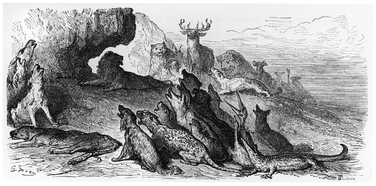 Les funérailles de la lionne, illustration des 