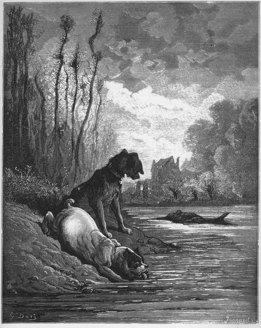 Les Deux Chiens et l