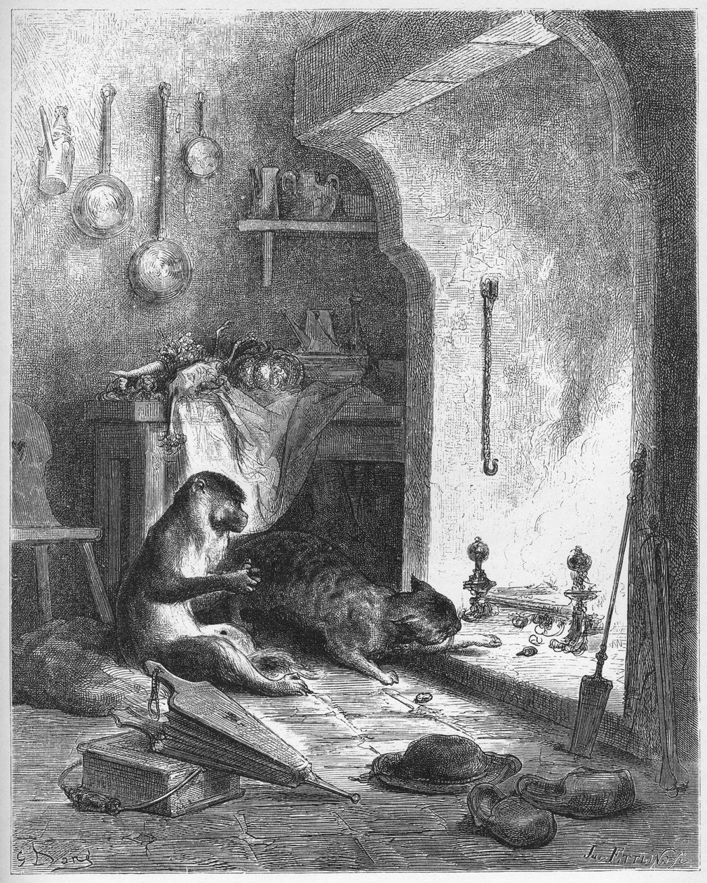 Le singe et le chat - de 