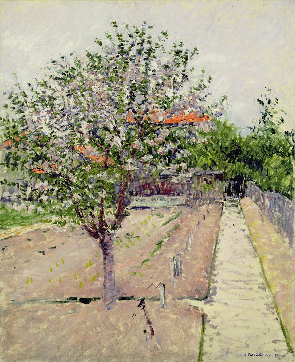 Pommier en fleurs, c.1885 - Gustave Caillebotte