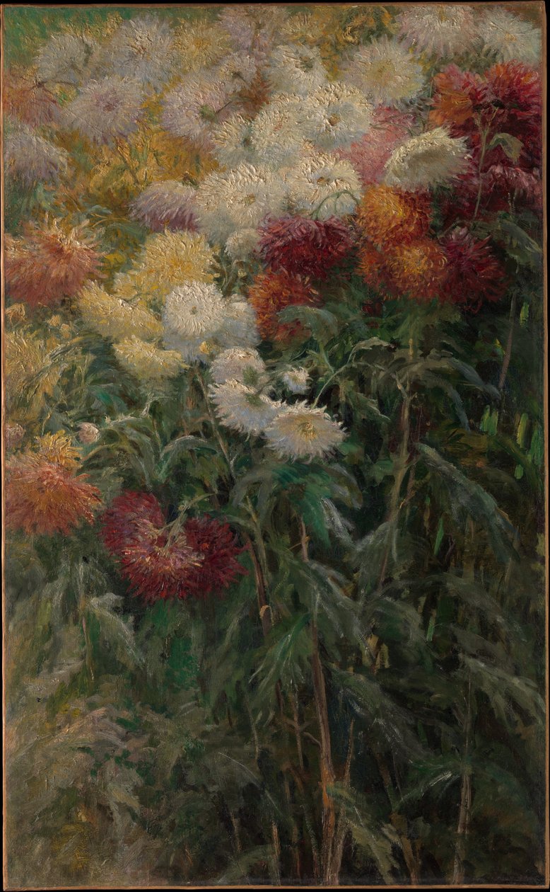 Les chrysanthèmes du jardin de Petit-Gennevilliers - Gustave Caillebotte
