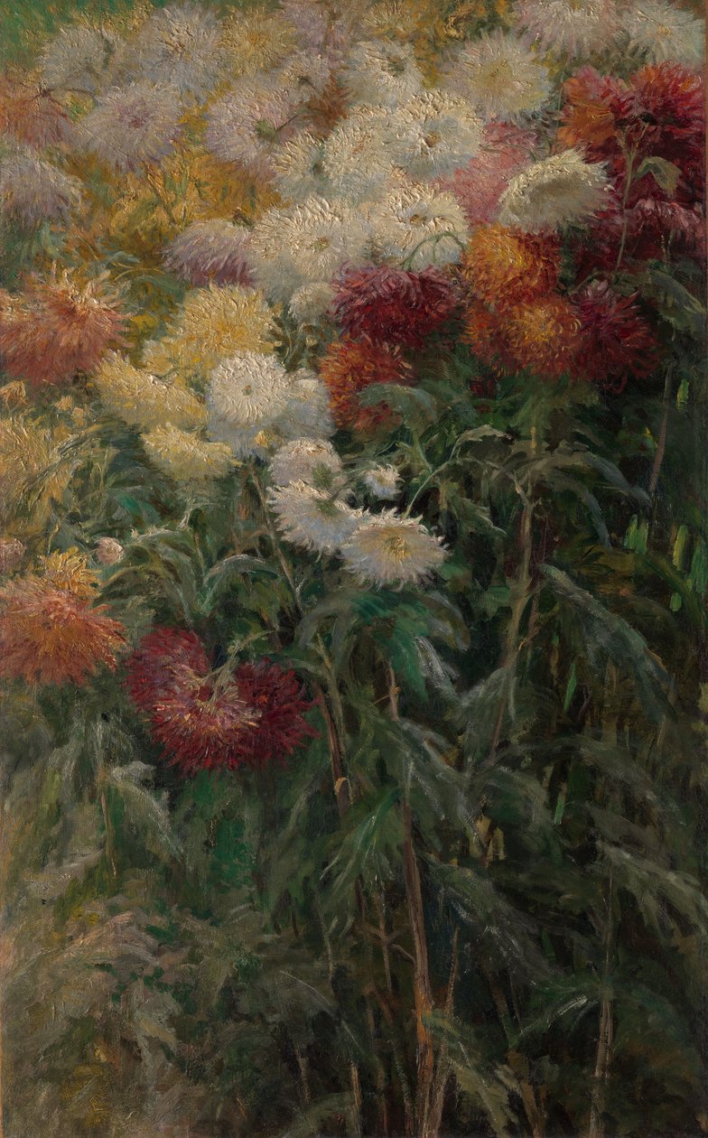 Chrysanthèmes dans le jardin de Petit-Gennevilliers - Gustave Caillebotte