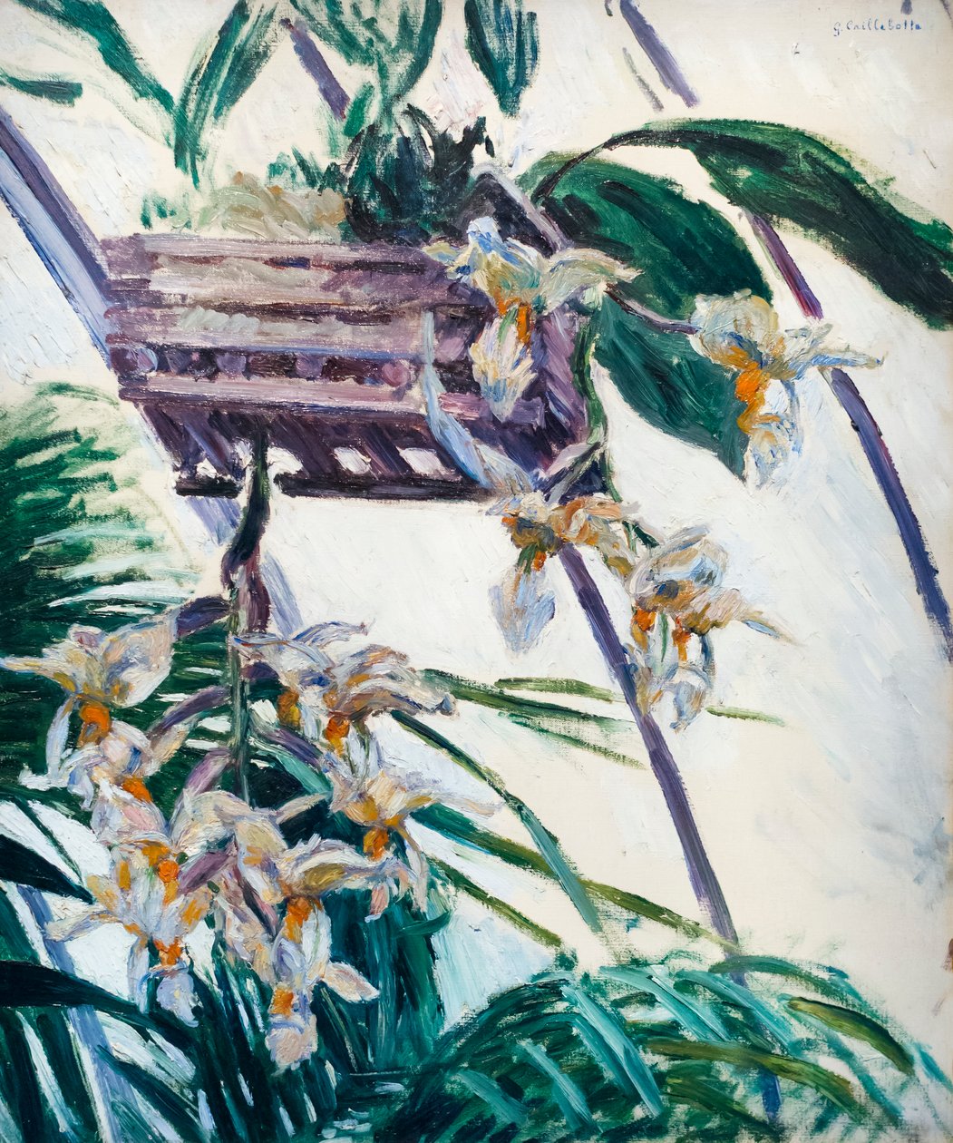 Orchidées, vers 1893 - Gustave Caillebotte