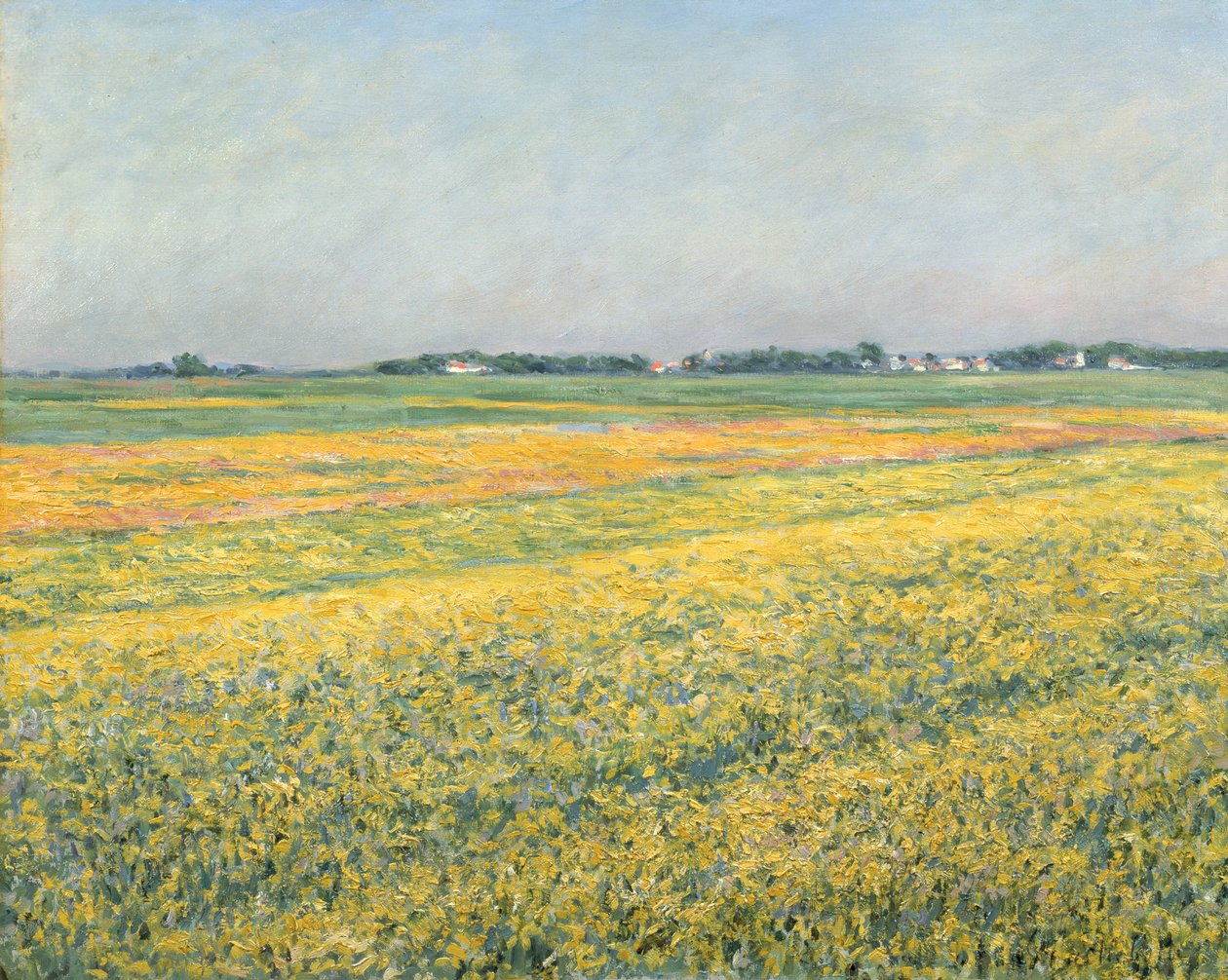 La plaine de Gennevilliers, champs jaunes, 1884 - Gustave Caillebotte