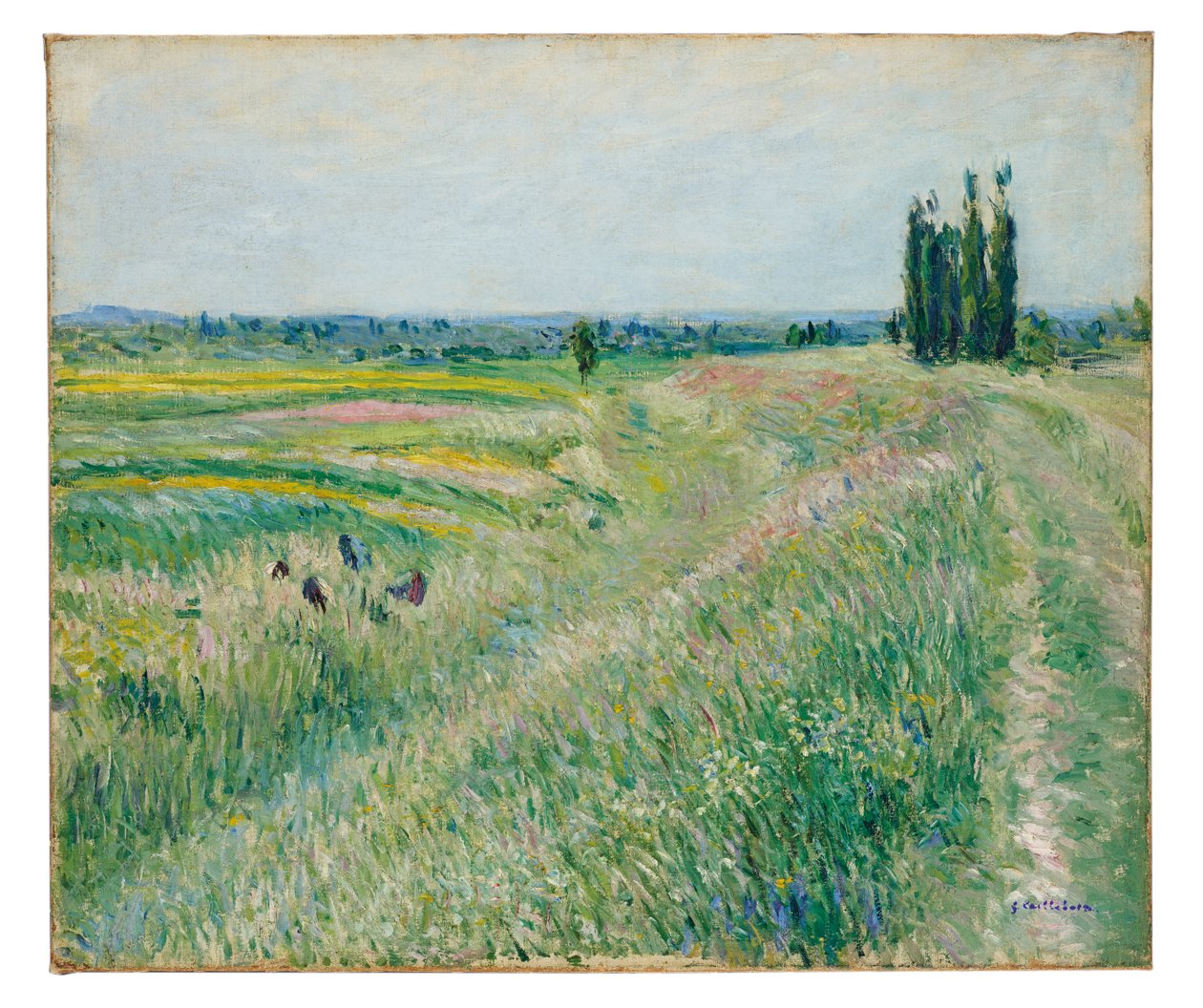 La plaine de Gennevilliers, groupe de peupliers, c.1883 - Gustave Caillebotte