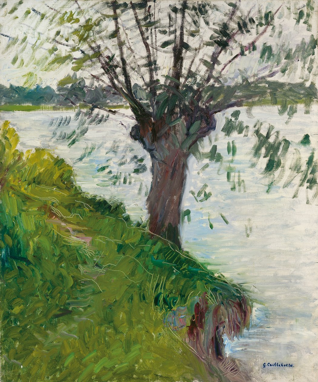 Saule au bord de la rivière, vers 1891 - Gustave Caillebotte