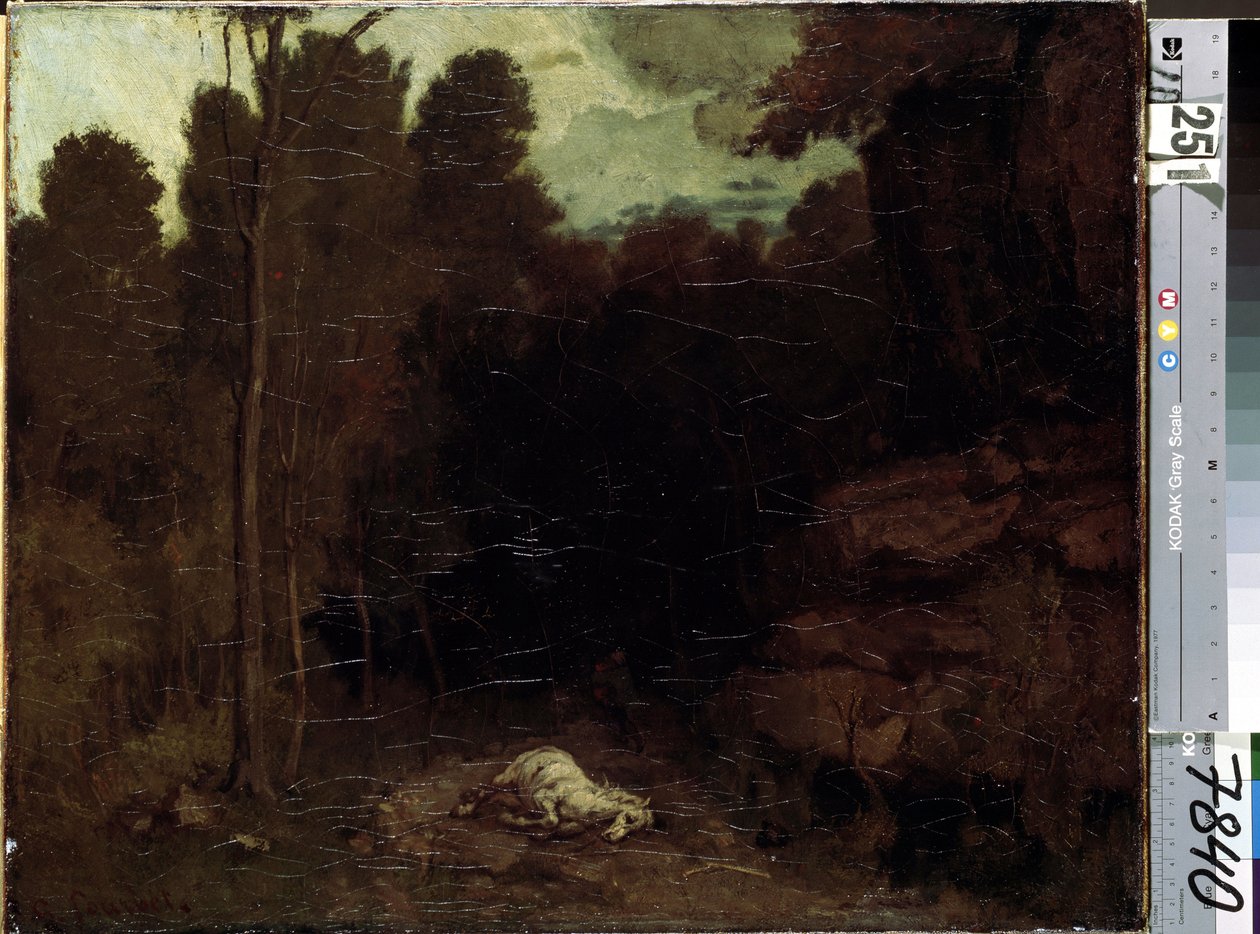 Image inconnue - Gustave Courbet