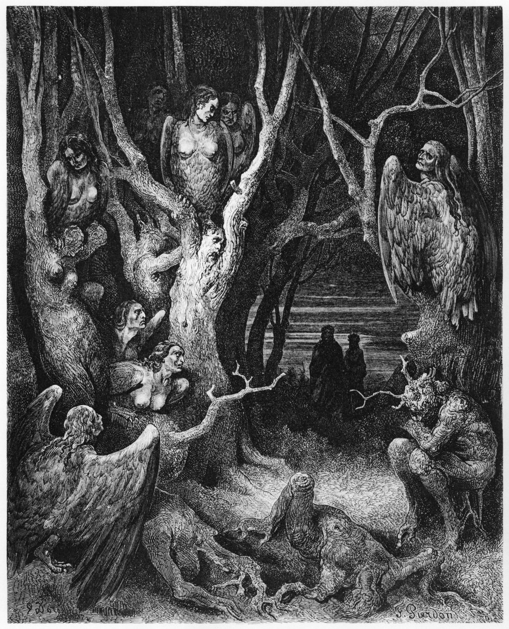 Harpies, illustration de 