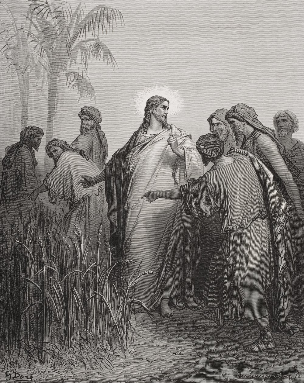 Jésus et ses disciples dans le champ de blé, illustration de 
