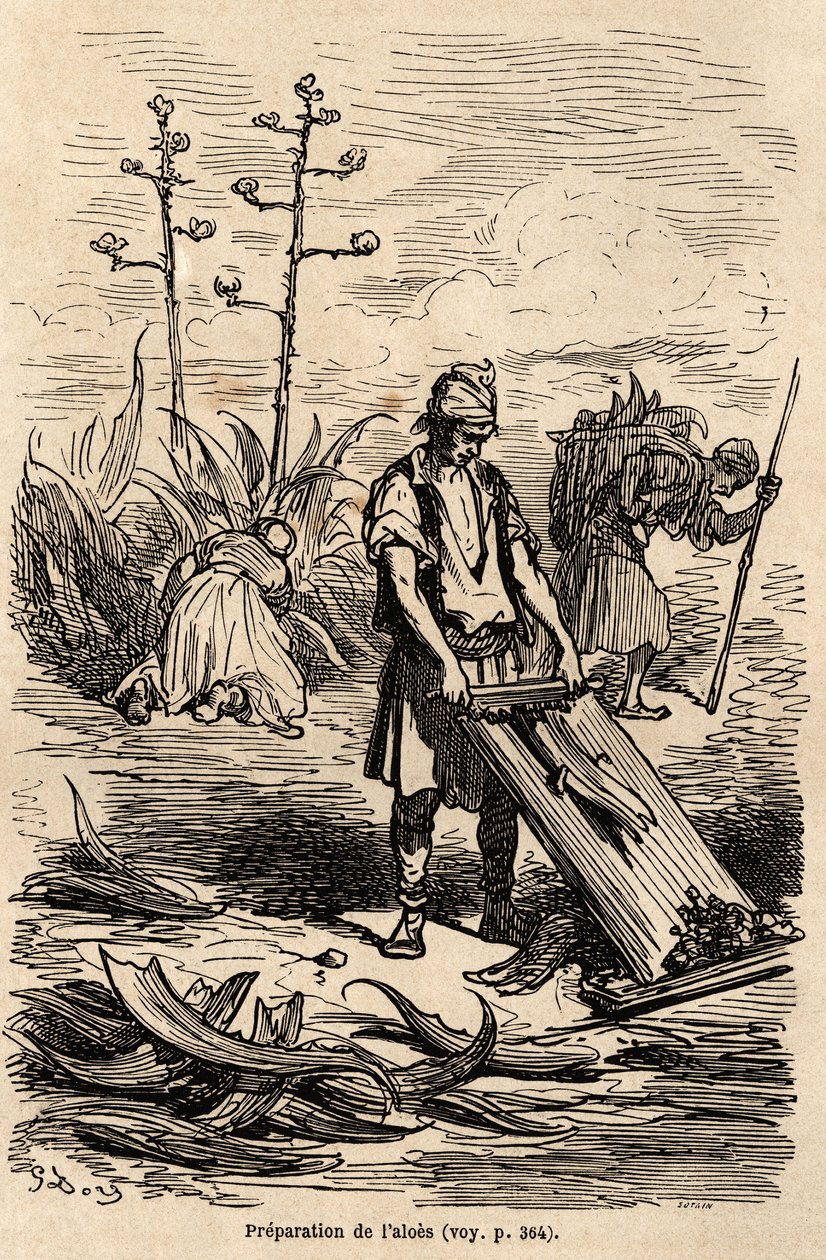 Préparation de l