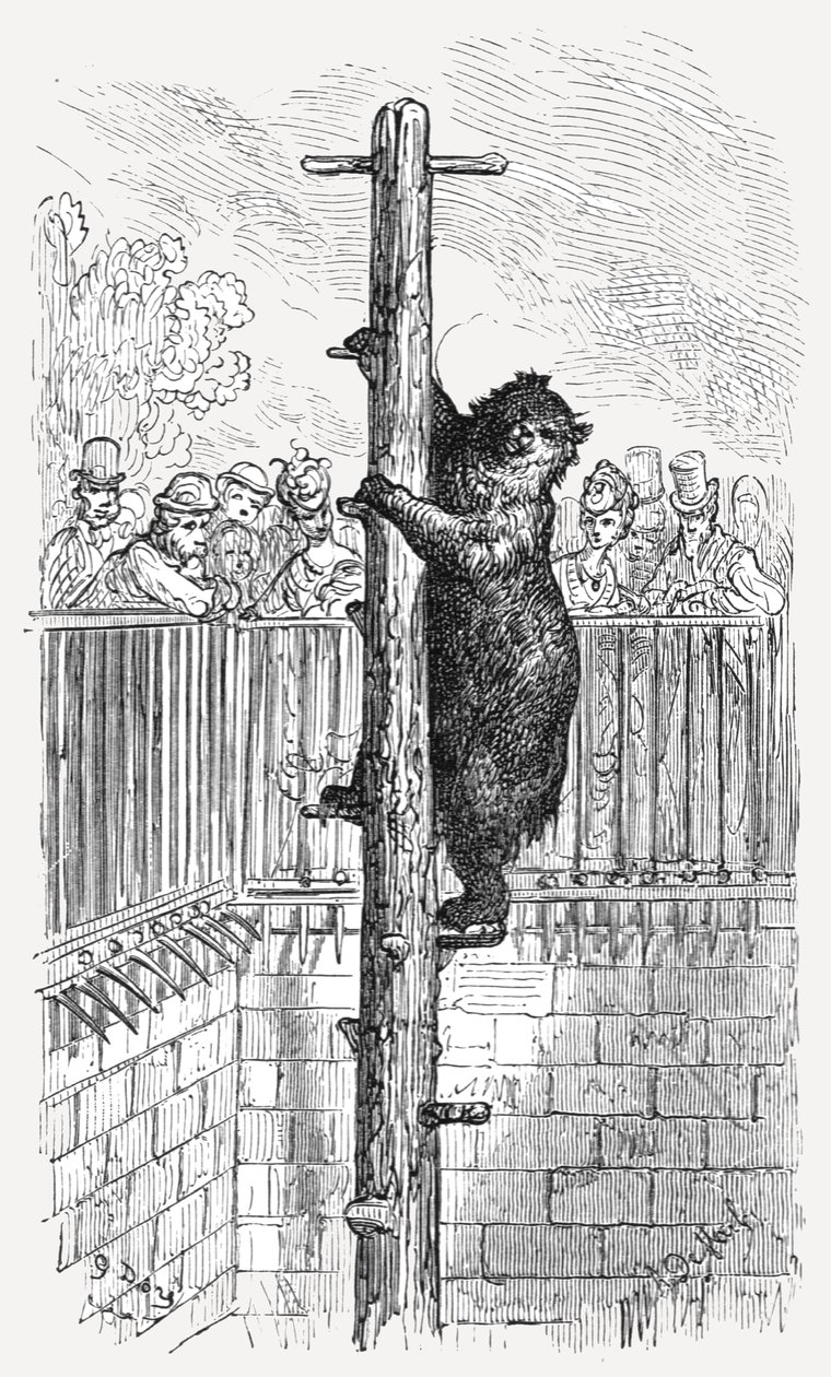 La fosse aux ours - Jardins zoologiques, 1872 - Gustave Dore