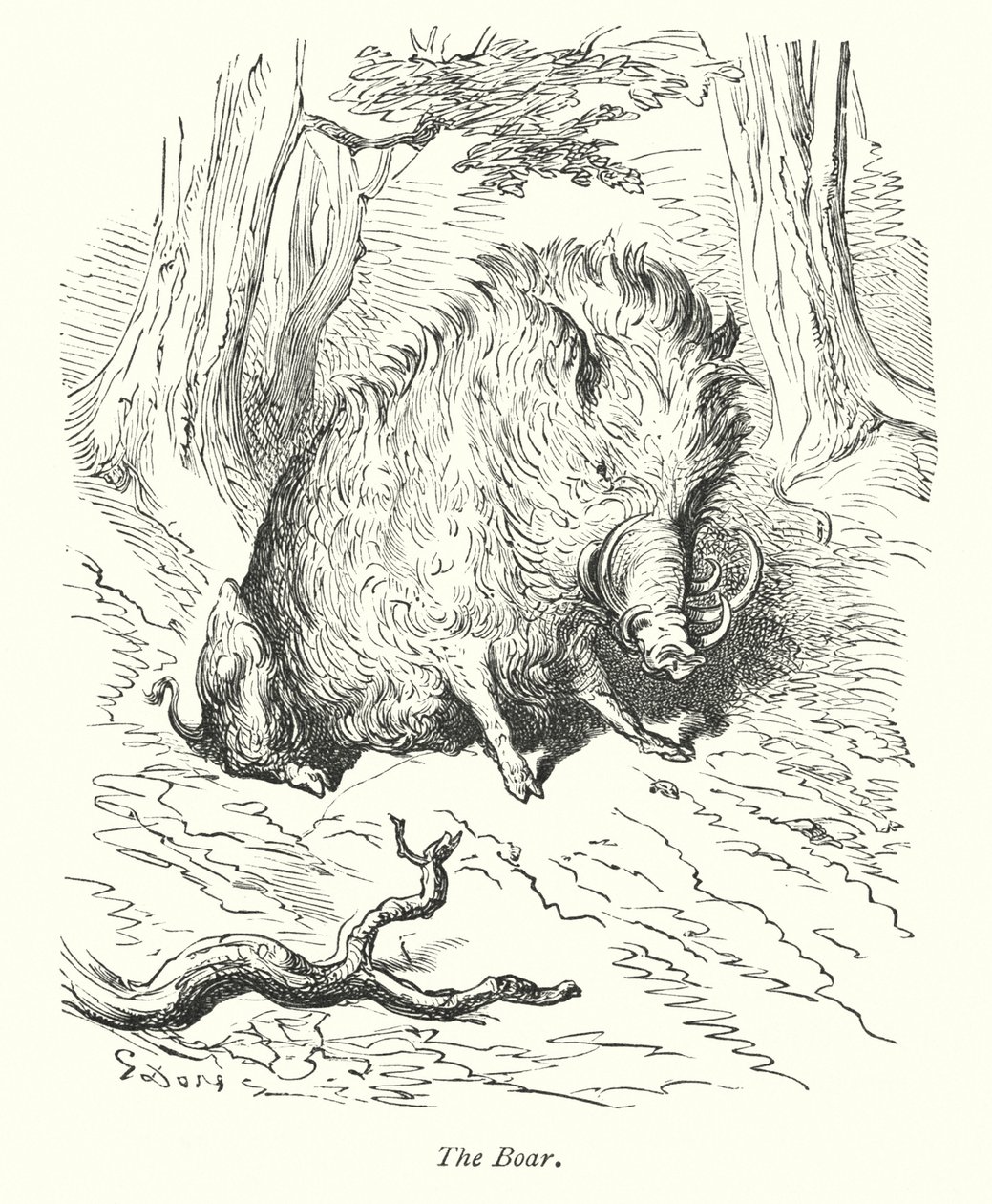 Le sanglier (gravure) - Gustave Dore