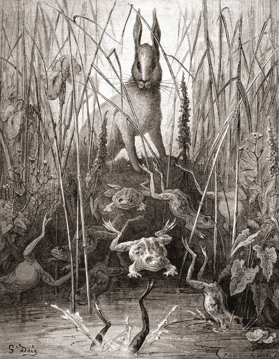 Le Lièvre et les Grenouilles, tiré d