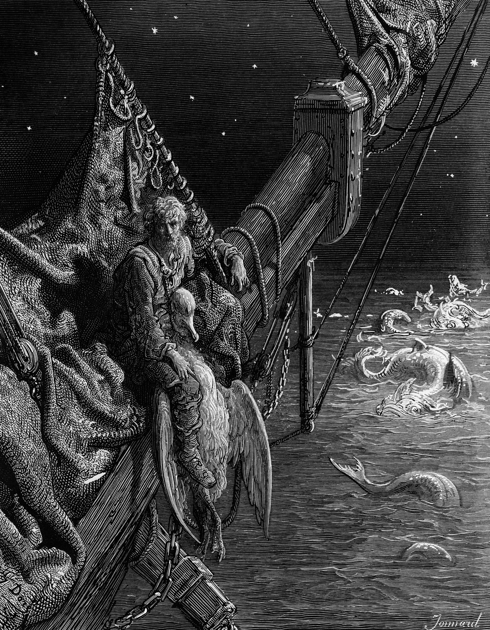 Le Marin regarde les serpents dans l