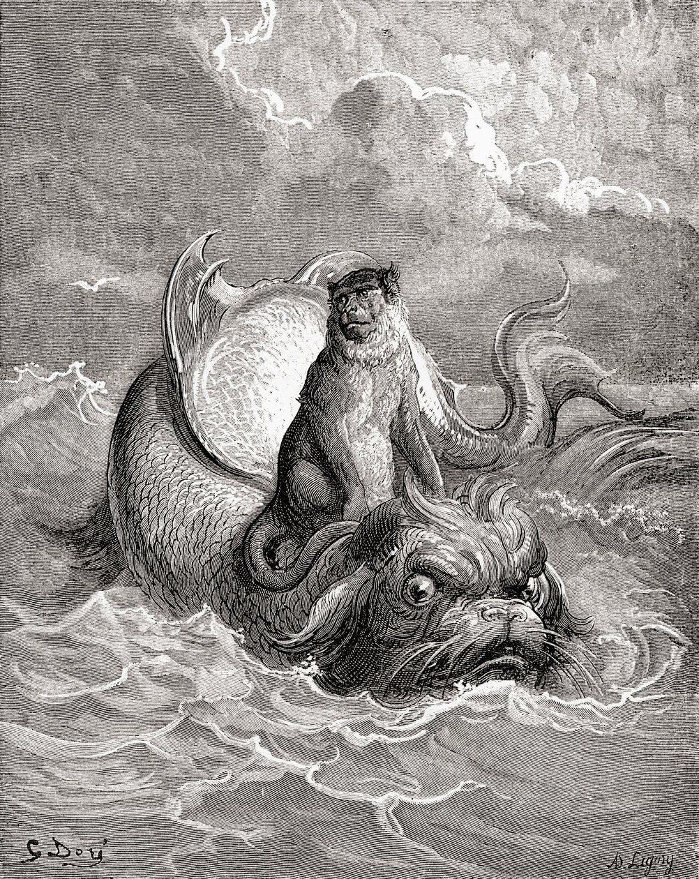 Le Singe et le Dauphin d