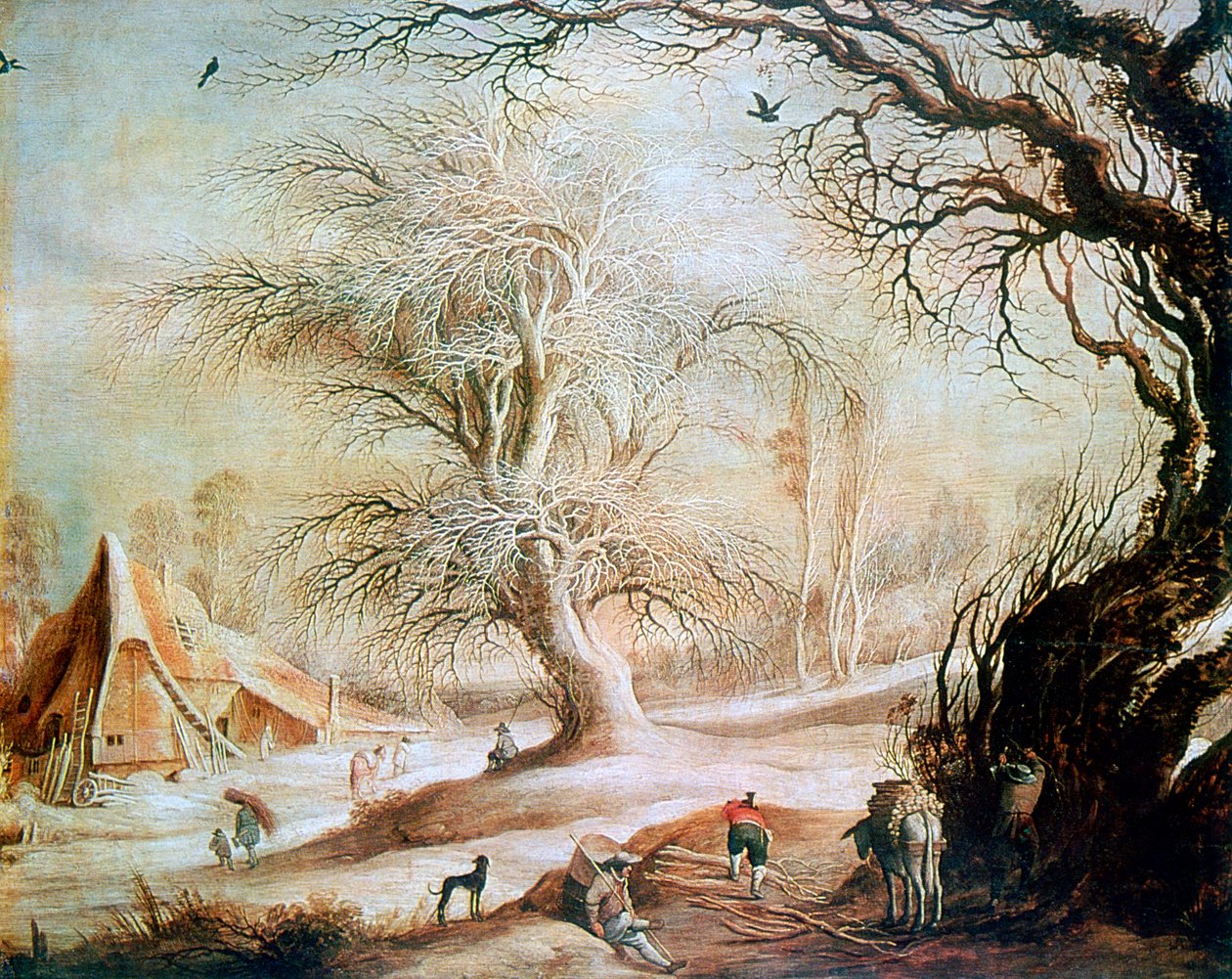 Paysage d