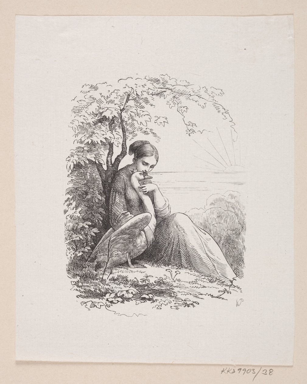 Illustration de "Les cygnes sauvages" dans H.C. Andersen, "Contes et histoires", Tome 1 - H.P. Hansen