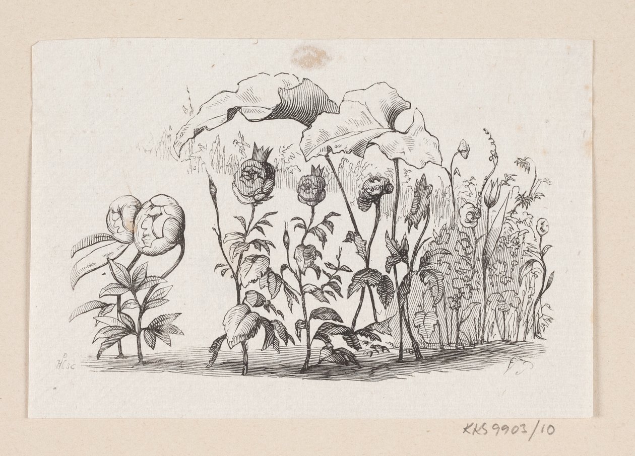 Illustration de "Den lille Idas Blomster" dans H.C. Andersen, "Contes et histoires", Tome 1 - H.P. Hansen