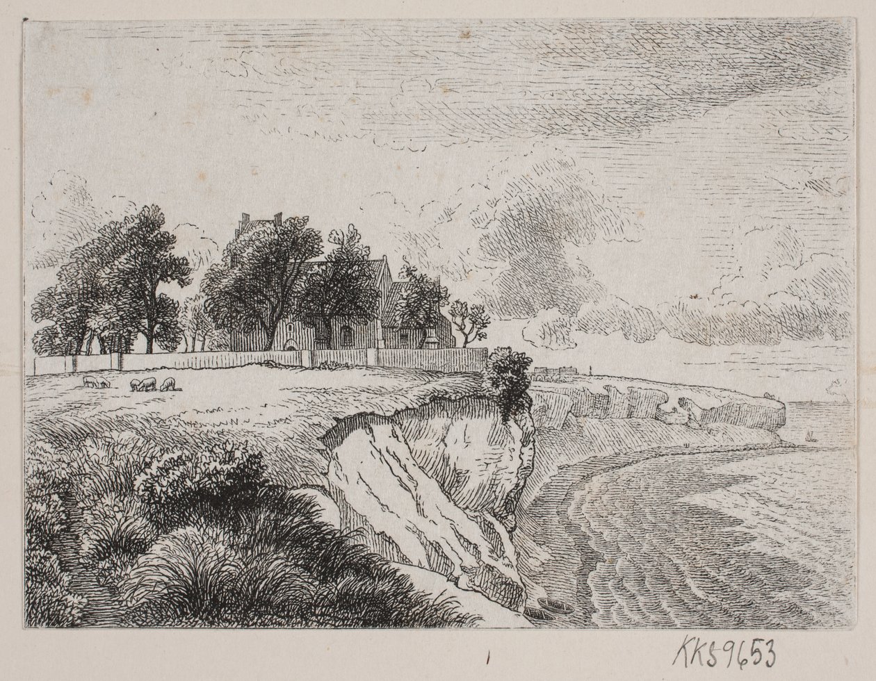 Falaise de Stevns avec l