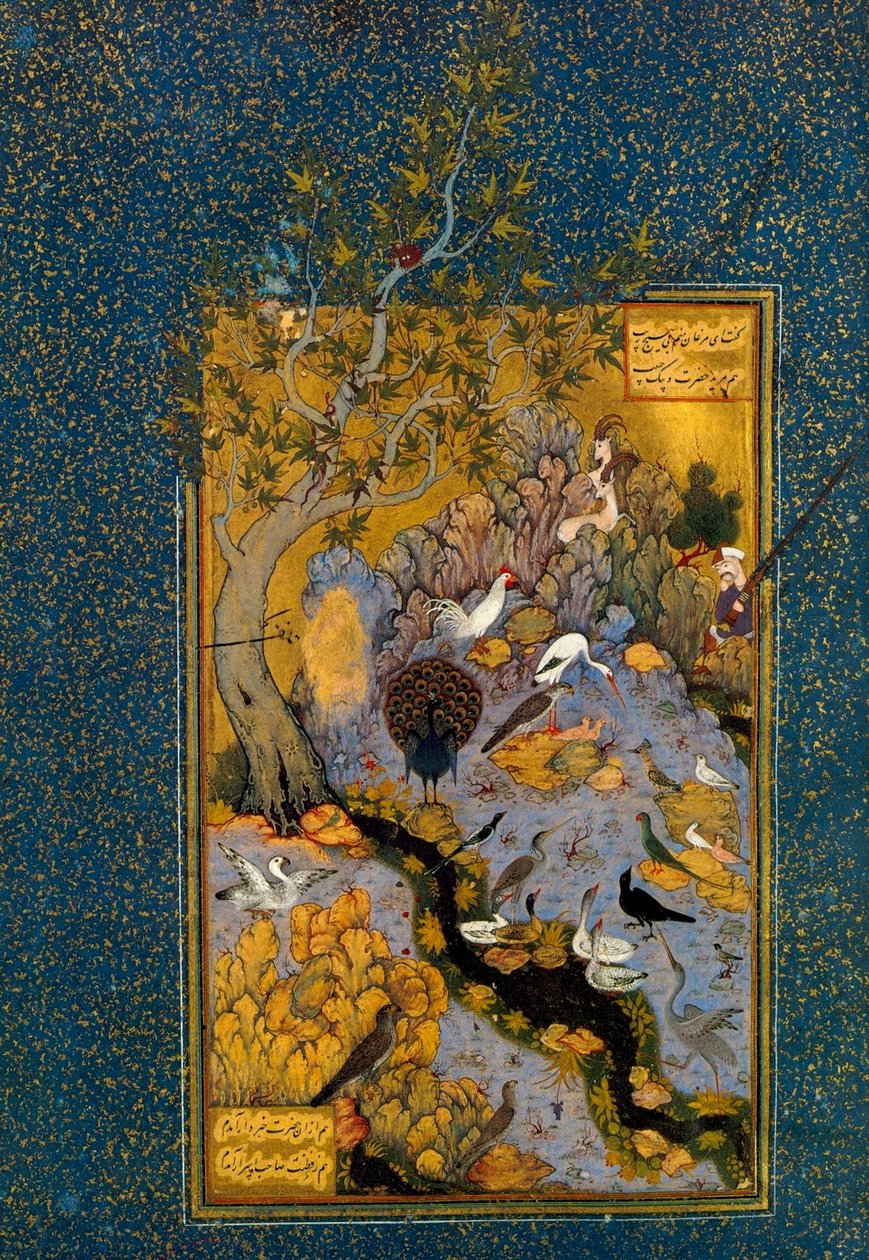 Folio de Mantiq al-Tayr La Langue des Oiseaux, par Attar - Habib Allah