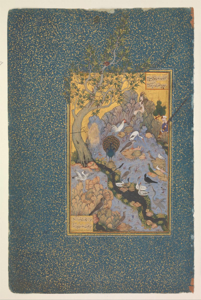 Page d