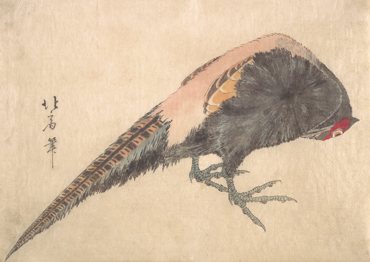 Oiseau - Hakusanjin Hokui
