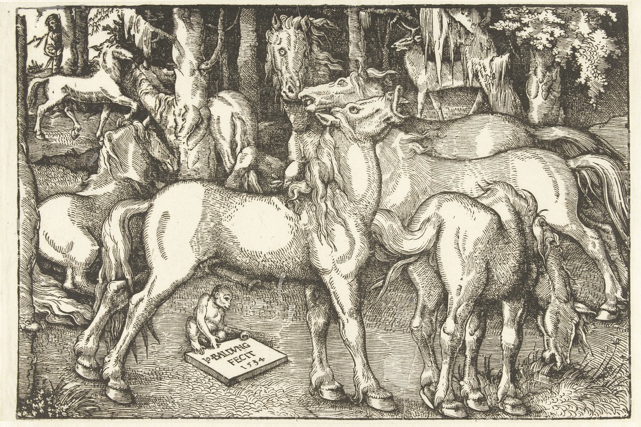 Groupe de sept chevaux et un singe - Hans Baldung Grien