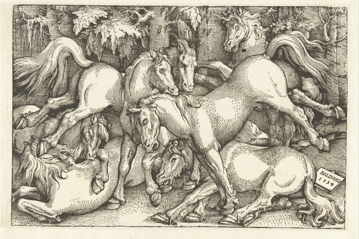 Groupe de sept chevaux combattants - Hans Baldung Grien