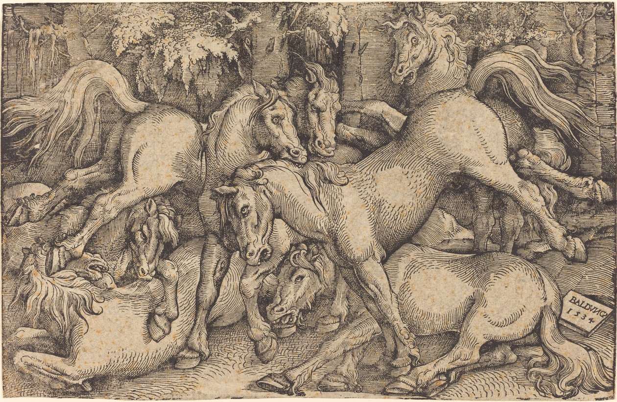 Groupe de sept chevaux dans les bois - Hans Baldung Grien