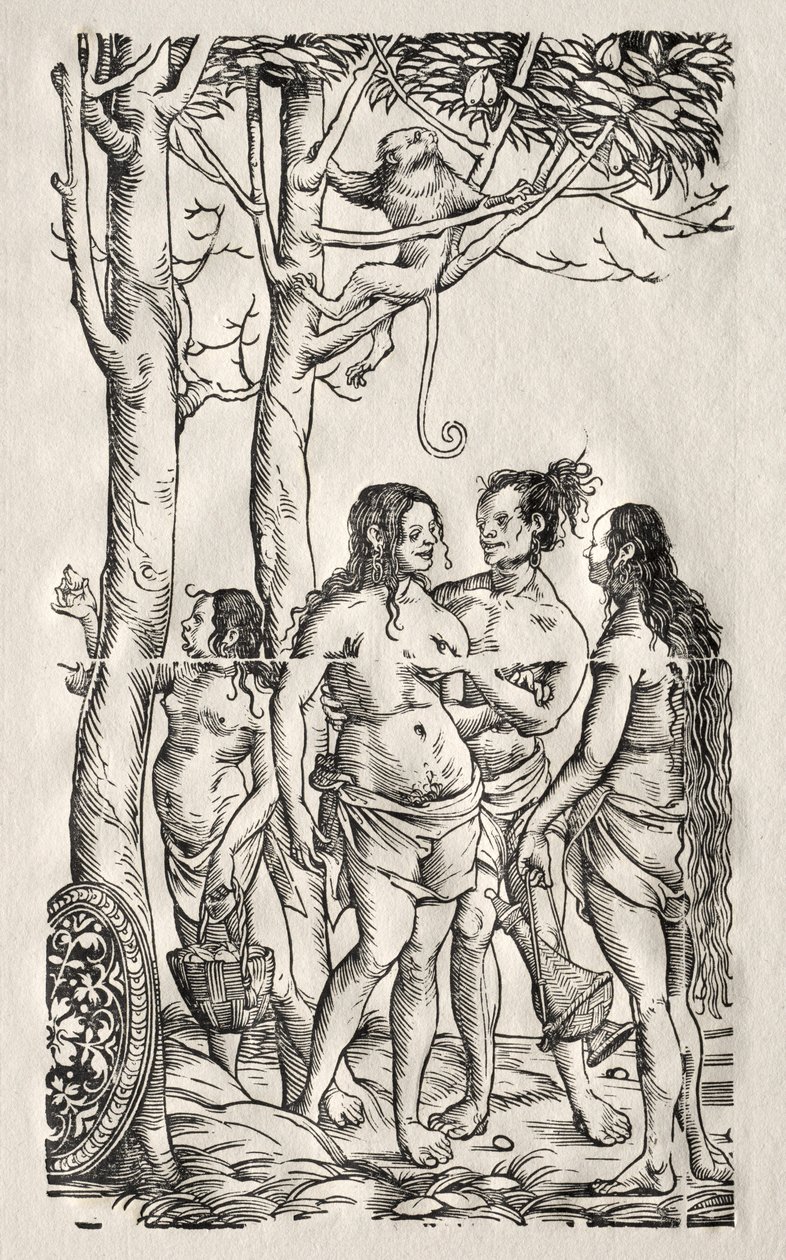 Hottentots avec troupeau - Hans Burgkmair